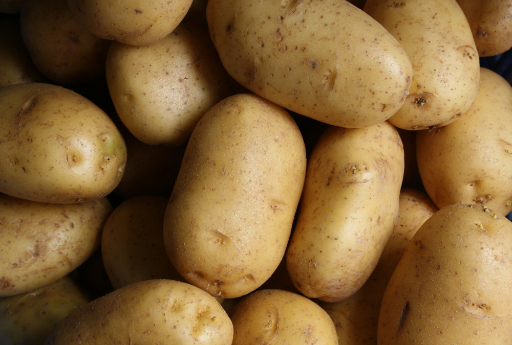 Optimierung des Logistiknetzwerks für einen globalen Hersteller von Tiefkühlkartoffelprodukten